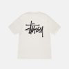 Tees Radial | Basic Stussy Tee Pigment Dyed